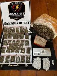 Thumbnail Polres Bengkulu Selatan Bongkar 3 Kasus Ganja, Sita Setengah Kilogram dari Tangan Mahasiswa