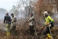 Thumbnail Sekda Meranti Turun Langsung Bantu Pemadaman Karhutla di Gemalasari
