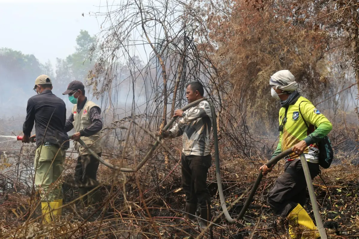 Sekda Meranti Turun Langsung Bantu Pemadaman Karhutla di Gemalasari
