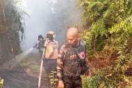 Sempat Padam, Siang ini Karhutla Kembali Muncul di Sungai Beringin Tembilahan