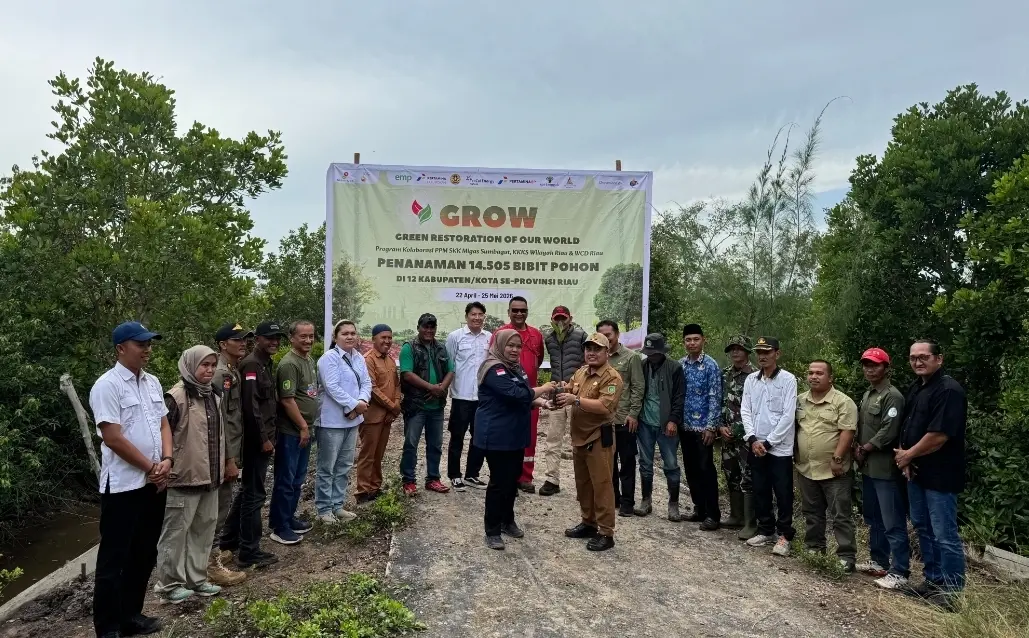 SKK Migas Sumbagut dan KKKS Gandeng Warga Tanam 800 Mangrove di Meranti