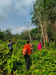 Sudah 4 Hari Lansia di Meranti Hilang, Tim SAR Sisir Area Kebun Radius 2 KM
