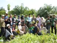 Thumbnail Sulap Lahan Tidur Jadi Cuan, BUMKam Kota Ringin Panen 30 Ton Semangka di Mempura