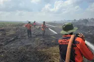 Terbesar Kedua Karhutla, Riau Masuk Daftar Prioritas Penanganan Karhutla Nasional