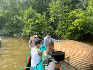 Tim Gabungan Evakuasi Bangkai Ikan Paus di Perairan Mandah Indragiri Hilir