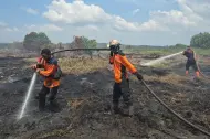 Titik Api Tinggi, Pemkab Rohil Tetapkan Status Darurat Karhutla Hingga November
