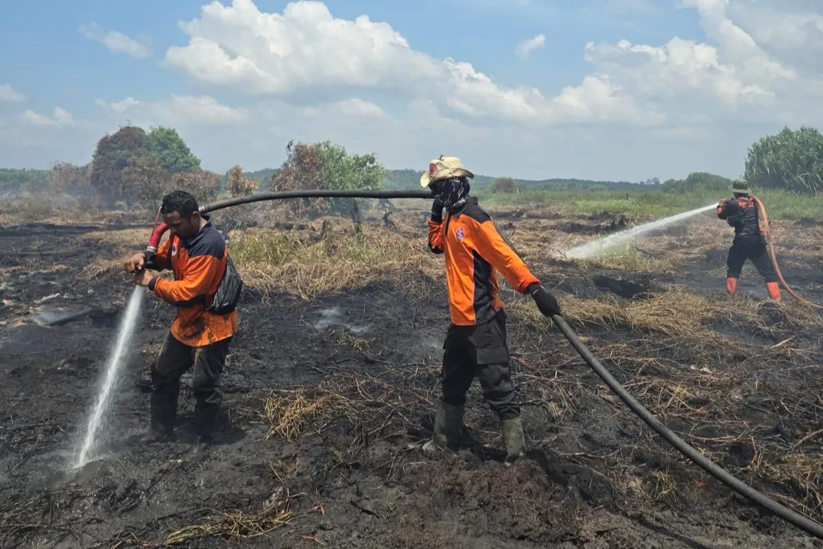 Titik Api Tinggi, Pemkab Rohil Tetapkan Status Darurat Karhutla Hingga November