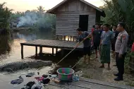 Tragis! Saat Mencuci Pakaian, Ibu Rumah Tangga di Siak Dimangsa Buaya