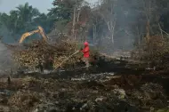 Update Karhutla Riau: Hingga Hari ini Total Lahan Terbakar Capai 18.770 Hektare