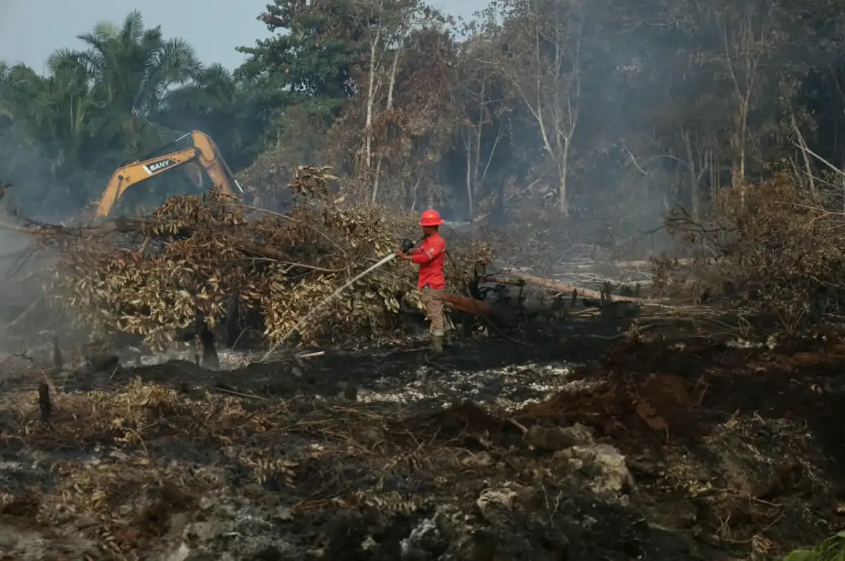 Update Karhutla Riau: Hingga Hari ini Total Lahan Terbakar Capai 18.770 Hektare