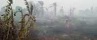Update Karhutla Riau: Pelalawan hingga Dumai Padam, Operasi Udara Terus Berlanjut