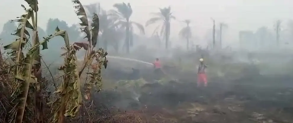 Update Karhutla Riau: Pelalawan hingga Dumai Padam, Operasi Udara Terus Berlanjut