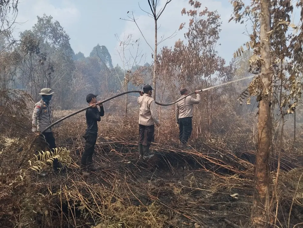Update Karhutla Riau, Tim Manggala Agni Lakukan Pendinginan di Rohil dan Siak