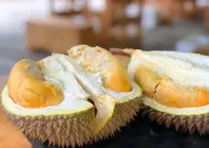 Wajib Dicoba, Empat Unggulan Durian Bengkalis Bersertifikat Kementan yang Banyak Diburu