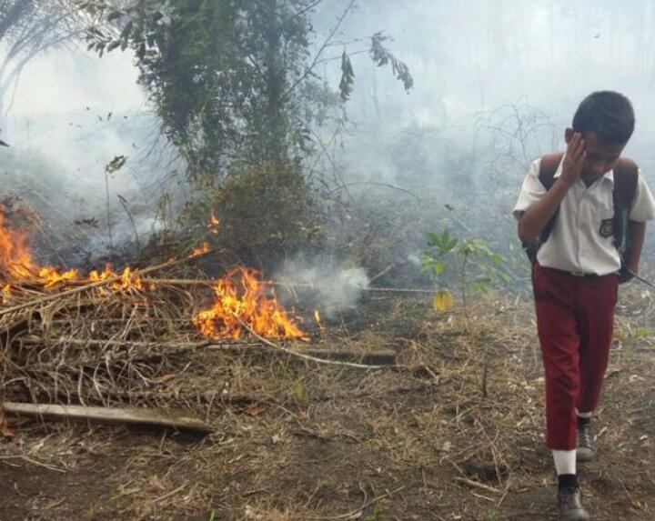 Tiga Kecamatan Pekanbaru Rawan Karhutla