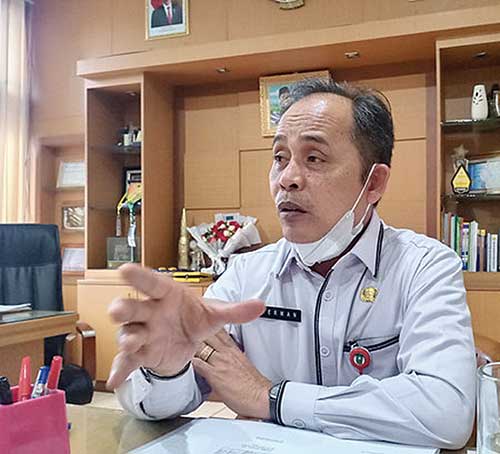 Flu Burung Kembali Mewabah, Ratusan Ayam Mati di Desa Koto Masjid Kampar