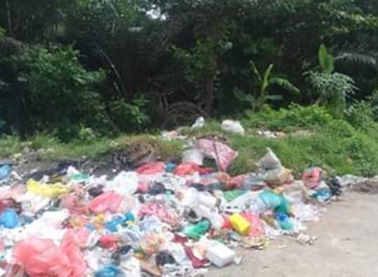 DLHK Pekanbaru Dapati 50 TPS Sampah Ilegal di 10 Kecamatan