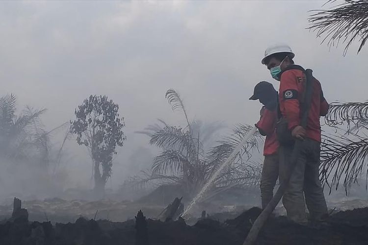 Haduh, BMKG Deteksi 15 Hotspot di Riau