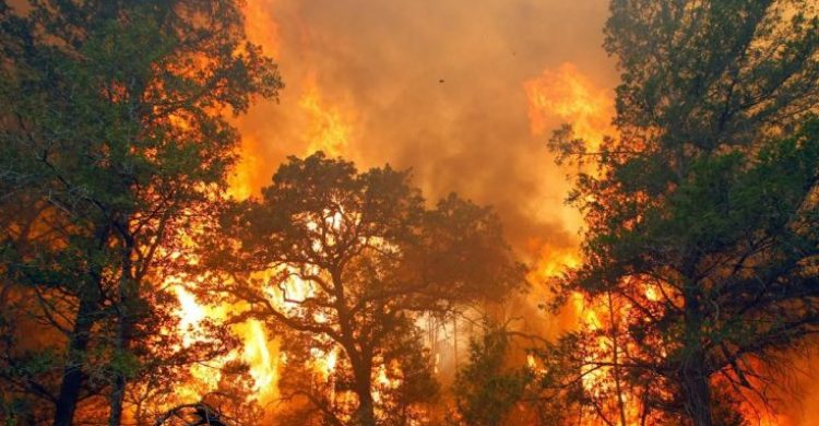 Sumatera Dikepung 75 Titik Api, Terbanyak Berada di Riau Dengan 36 Titik Panas