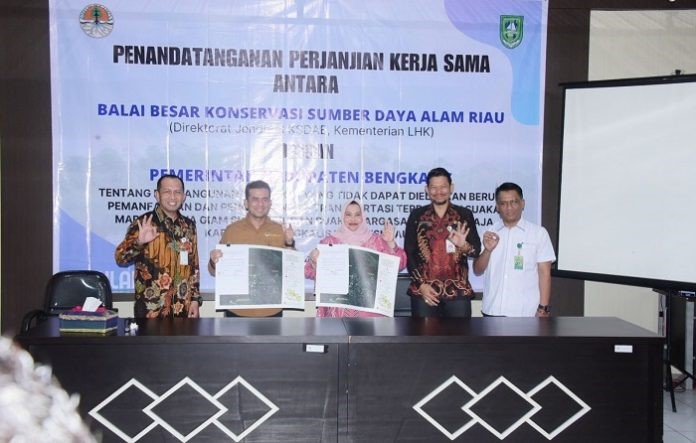 Bupati Kasmarni Teken Kerjasama dengan BKSDA Riau