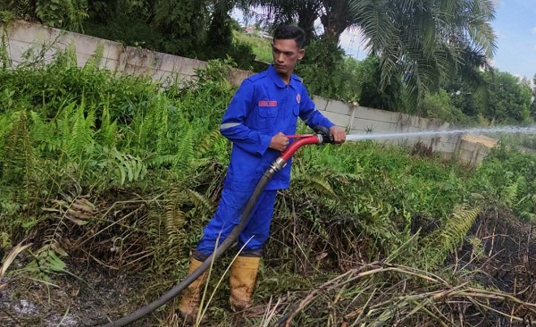 BPBD Pekanbaru Catat 19 Kasus Kebakaran Lahan