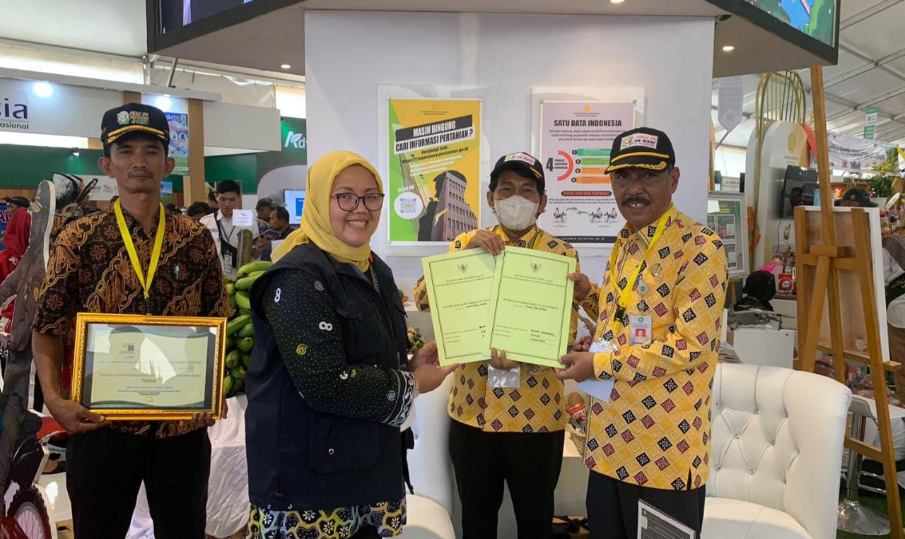 Durian Laksamana dan Durian Idola Laksamana Diakui Milik Bengkalis