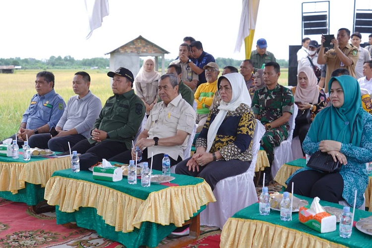 Panen Raya di Sabak Auh Siak, Gubri: Produksi Padi Riau Terus Meningkat