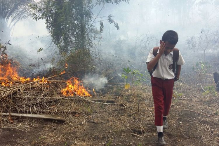 Gubernur Riau Instruksikan Kabupetan Kota Bentuk Satgas Penanganan Karhutla Hingga Desa