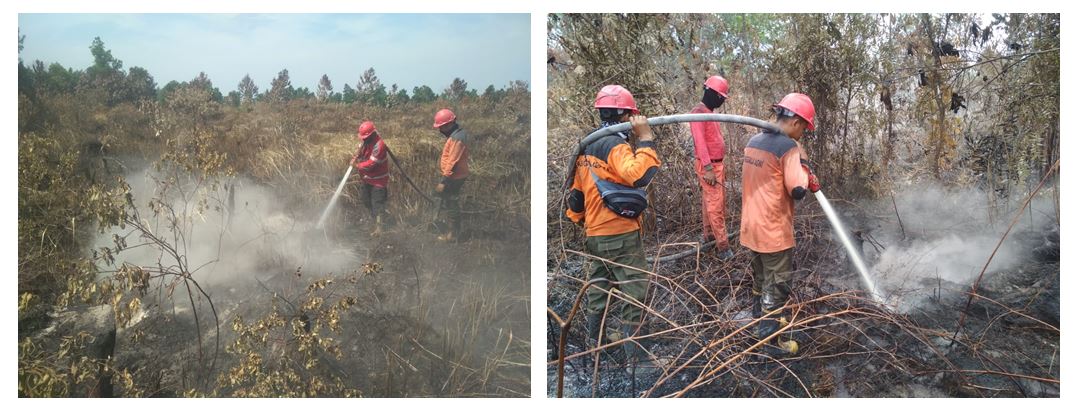Tim Gabungan Padamkan Kebakaran Lahan di Kec Payung Sekaki Pekanbaru
