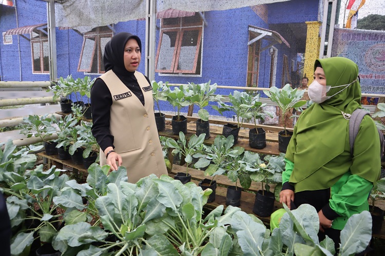 Bupati Rezita akan Dukung Setiap Kegiatan Pertanian Masyarakat