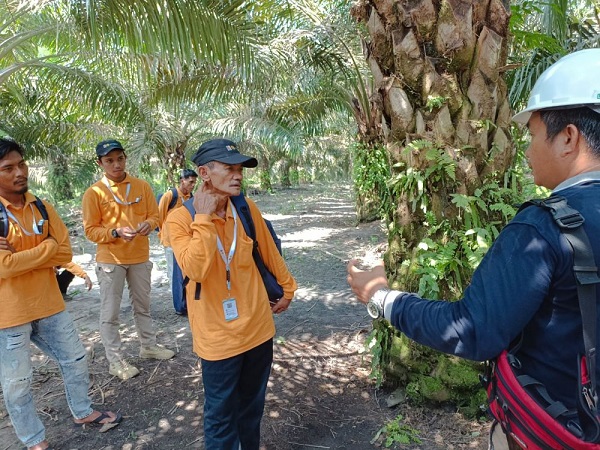 PTPN V Latih 55 Petani Sawit di Perkebunan Sei Buatan Siak