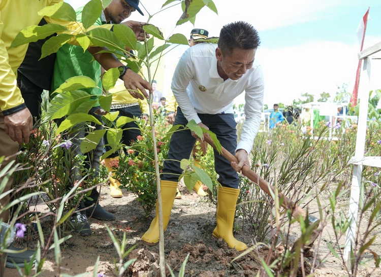 Peringatan HLH Sedunia, DLH Rohil Tanam 500 Pohon