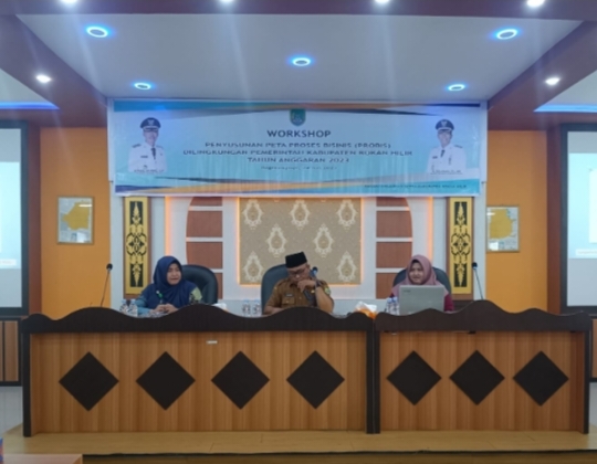 Diikuti Seluruh OPD, Rohil Gelar Workshop Penyusunan Peta Proses Bisnis