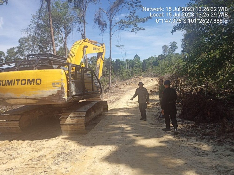 3 Ekskavator Diamankan, Siapa Dalang Perambah Hutan Desa Sahilan?