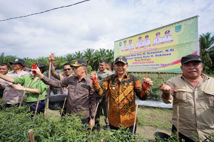 Bangga Panen Raya Cabai, Gubri Ingin Bertemu Kades dan Warga Rantau Sakti