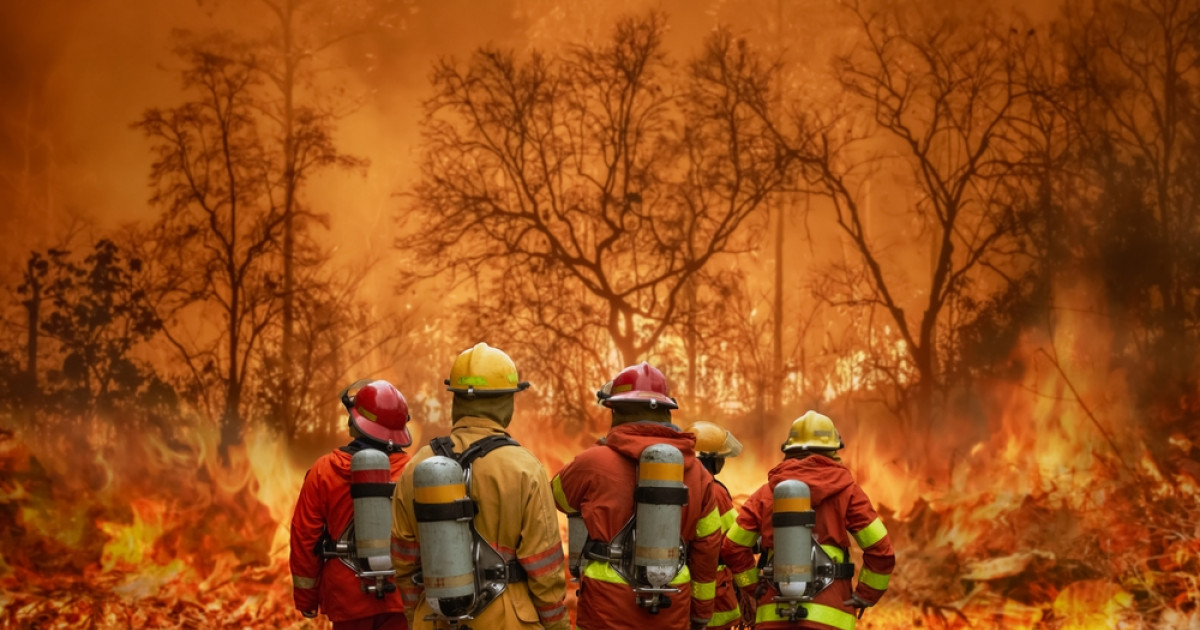 Selama 2023, 821 Hektar Lebih Hutan dan Lahan di Riau Terbakar