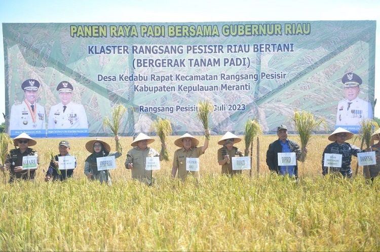 Panen Raya Padi di Meranti, Gubri Minta Produksi Ditingkatkan