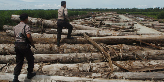 Ditreskrimsus Polda Riau Tetapkan 16 Tersangka Illegal Logging dan Perambah Taman Nasional