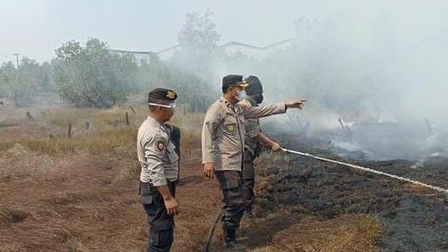 Selama 2023, Polda Riau Tangkap 19 Tersangka Karhutla