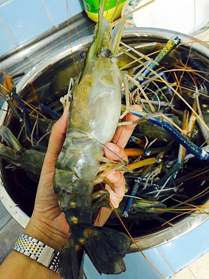 Bagi Anda Hobi Mancing, Ini Lokasi Mantap Mancing Ikan Babon dan Udang Galah