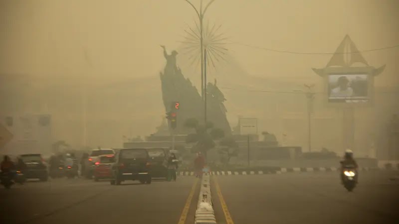 1.492 Titik Api, Kepala BMKG Pekanbaru: Kabut Asap Riau Kiriman Sumsel dan Jambi