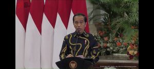 Rakor Bersama Presiden, Gubernur Riau Diminta Awasi Harga Beras dan Kendalikan Inflasi Daerah
