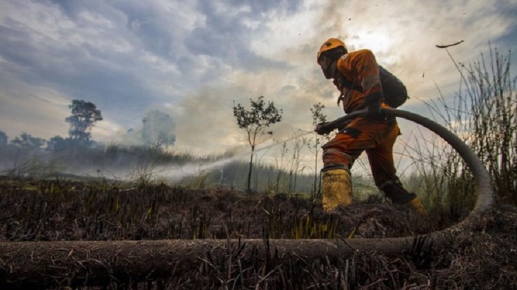 Sudah Ditangkap, Tersangka Karhutla Batang Gansal Inhu Ternyata Warga Pelalawan