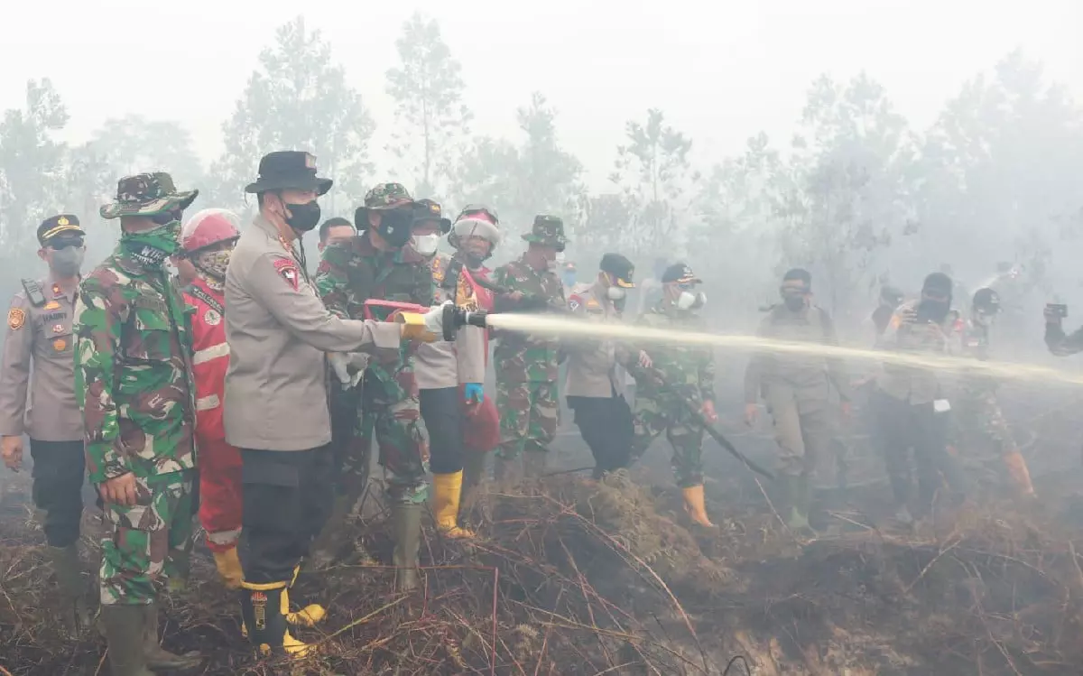 Kabut Asap Tebal, Polda Riau Tangkap 34 Pelaku Karhutla, Terbanyak di Polres Rohil