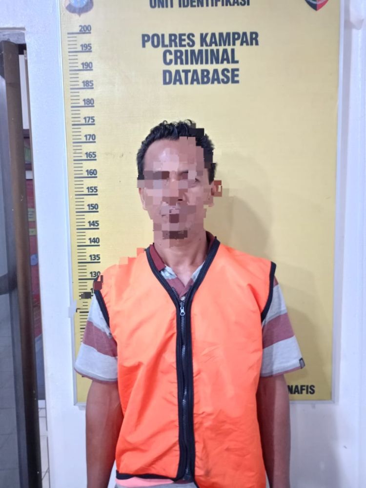 Polsek Tambang Tangkap Pelaku Pembakar Lahan di Kualu Nenas Kampar