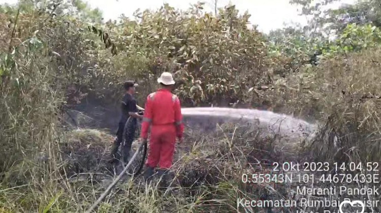 5 Titik Lahan yang Terbakar Berhasil Dipadamkan BPBD Pekanbaru