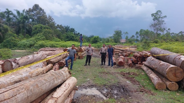 Polisi Temukan 215 Tual Kayu Illog tak Bertuan di Kuntu Kampar