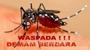 Tembus 1.537 Kasus, Diskes Riau Minta Masyarakat Waspada DBD