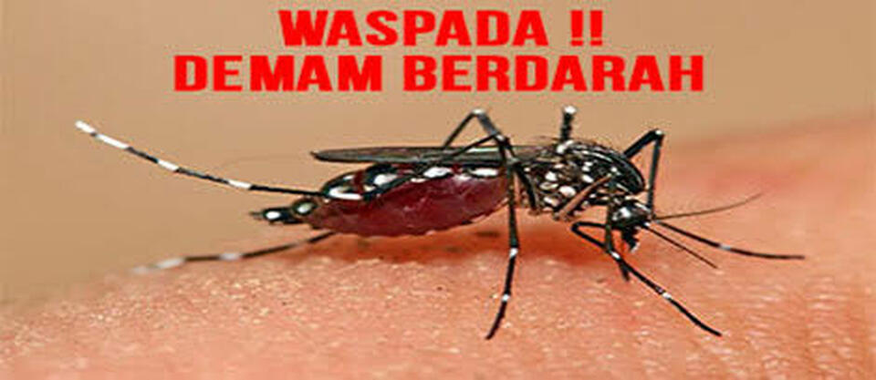 Gawat! 1.537 Warga Riau Terserang Demam Berdarah,14 Orang Meninggal Dunia