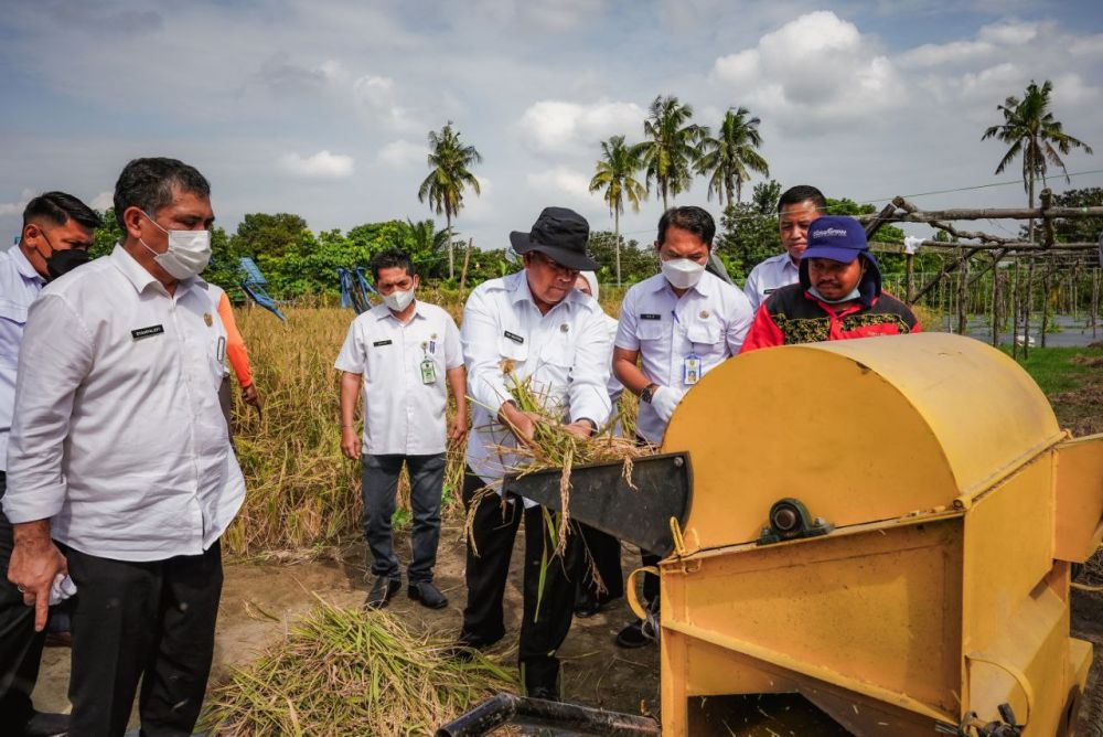 Pemprov Riau Tingkatkan Kesejahteraan Petani dengan Memberikan Bibit Unggul dan SDM